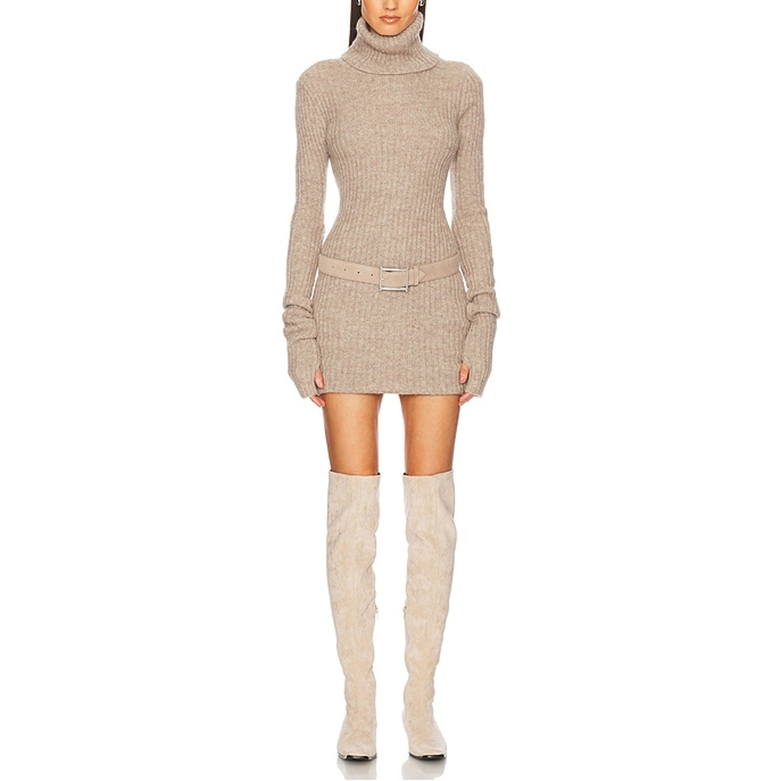 Helsa 'Lauren' Beige Mini Knit Turtleneck Dress Size S